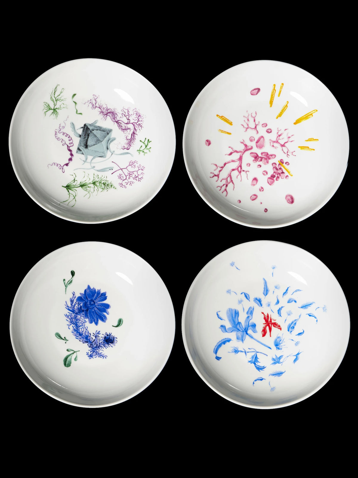 Adonis deep plate